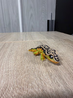 Bearded Dragon - Mini Flexi 3D Printed Articulated Reptile Toy