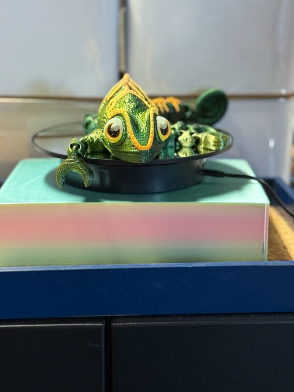 Flexi Chameleon Black Yellow Green