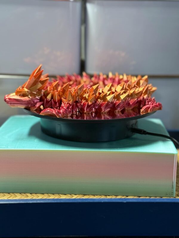Flexi  24" Crystal Dragon Gradient - Image 3