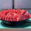 GJQMeyGS Flexi 24" Crystal Dragon Coral Pink