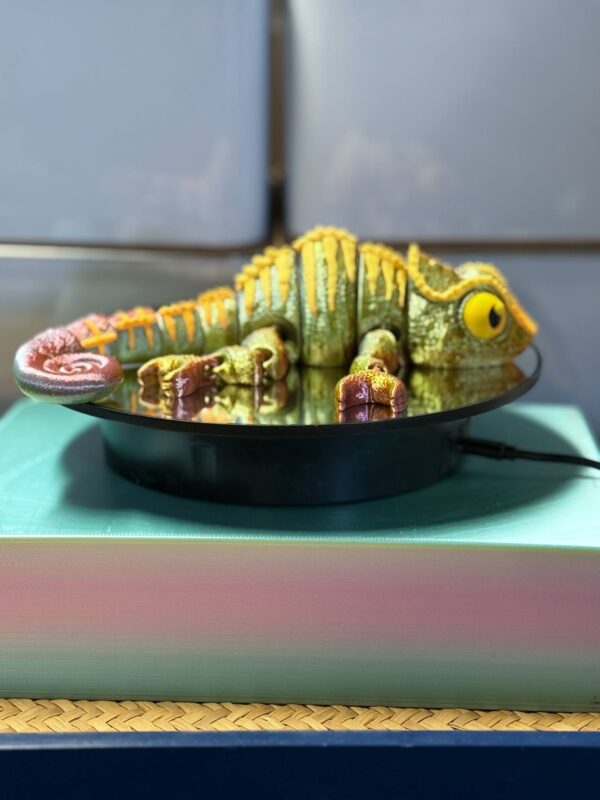 Flexi Chameleon Tricolor - Image 4