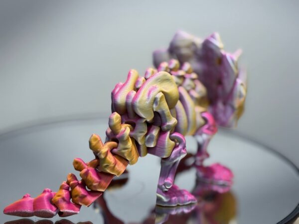 Flexi Triceratops Skeleton Maple - Image 4