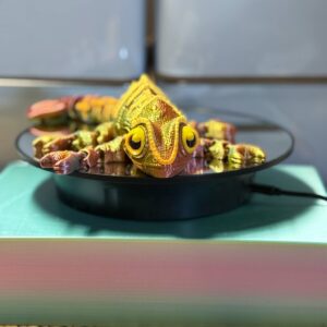 Flexi Chameleon Tricolor