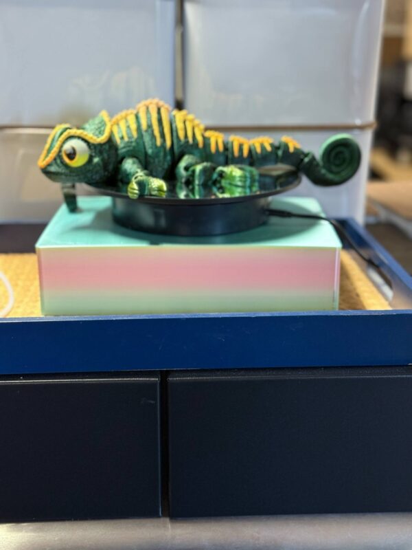 Flexi Chameleon Black Yellow Green - Image 4