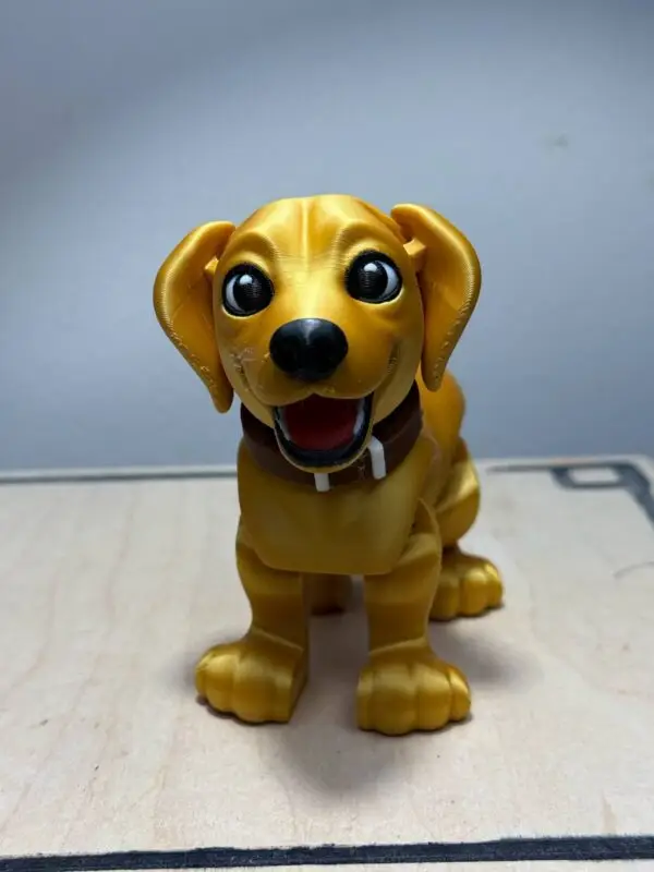Flexi Golden Labrador Retriever