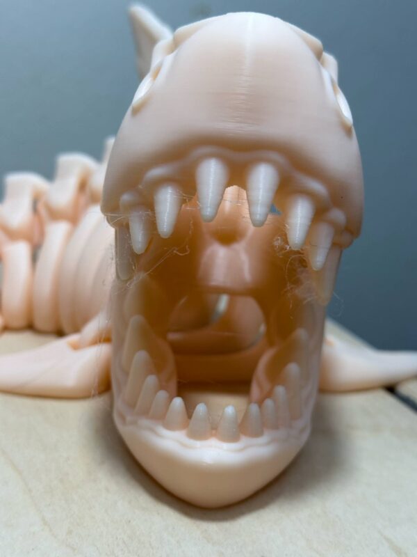 Flexi 12" Skeleton Shark Flesh Color - Image 3