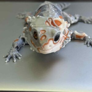 Flexi Zombeardie Silver