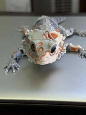 Flexi Zombeardie Silver