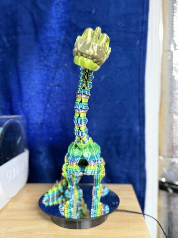 9f1d6788-6372-4f3a-8dca-6e8a309035ab Huge 17.5-Inch Articulating Brachiosaurus Fidget Toy (Flexi Factory) - Giant 3D Printed Dinosaur Desk Decor