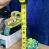 c8018b77-5311-44d7-a5ce-725fd039198f Huge 17.5-Inch Articulating Brachiosaurus Fidget Toy (Flexi Factory) - Giant 3D Printed Dinosaur Desk Decor